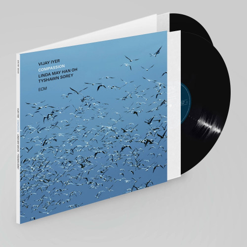 Vijay Iyer Compassion 2LP 2