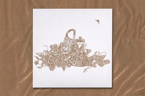 Kate Bush The Dreaming (Escapologist Edition) 180g Import LP 3