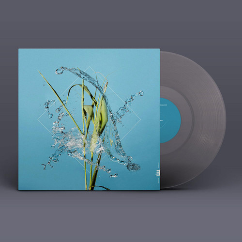 Fergus McCreadie Stream LP (Transparent Vinyl) 1