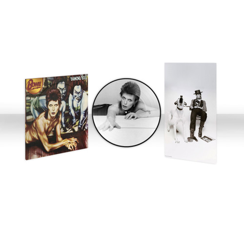 David Bowie Diamond Dogs Half-Speed Mastered LP (Picture Disc) 1
