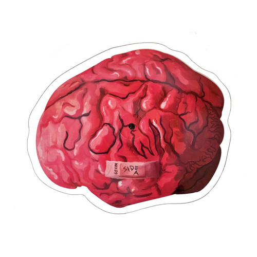Joywave Brain Damage 45rpm 10" Vinyl Single (Picture Disc) 2