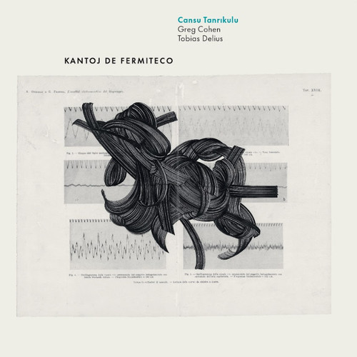 Cansu Tanrikulu Kantoj de Fermiteco Hand-Numbered Limited Edition One-Step 45rpm Import LP 1