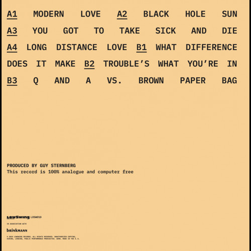 Fink The LowSwing Sessions Import LP 2