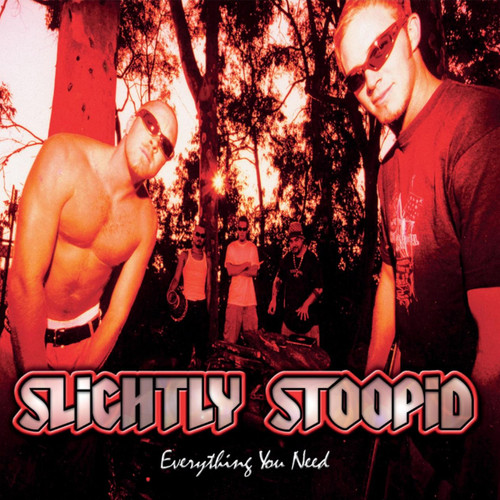 Slightly Stoopid Everything You Need LP (Orange & Yellow Galaxy Vinyl) 1