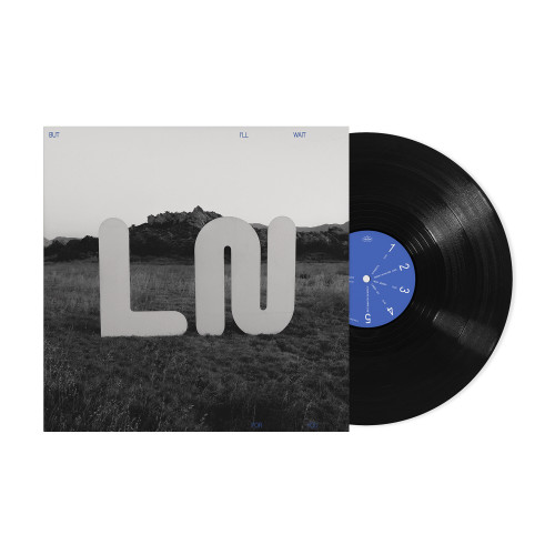 Local Natives But I'll Wait for You LP 2