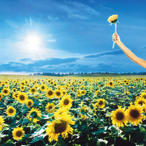 Stone Temple Pilots Thank You 2LP (Opaque Sky Blue Vinyl) 2