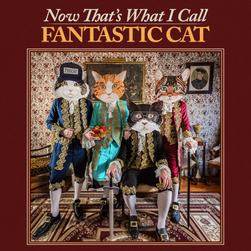 Fantastic Cat Now That's What I Call Fantastic Cat LP 1