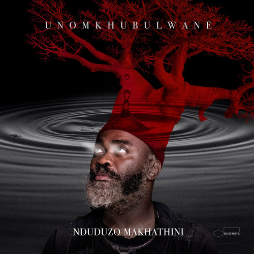 Nduduzo Makhathini uNomkhubulwane 2LP 1