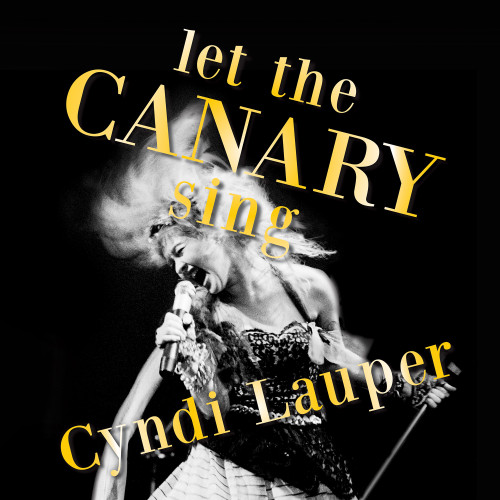 Cyndi Lauper Let the Canary Sing LP