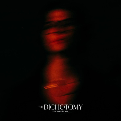 David Kushner The Dichotomy 2LP 1