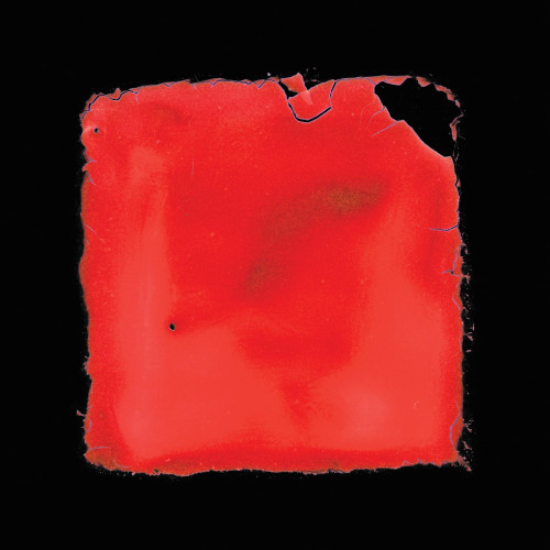 salvia palth last chance to see 2LP 1