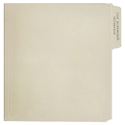 Rex Orange County The Alexander Technique 2LP 1