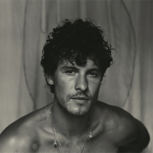 Shawn Mendes Shawn LP (Milky Clear Vinyl) 1