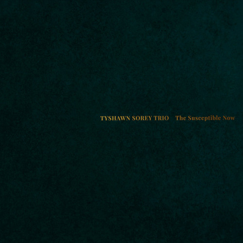 Tyshawn Sorey Trio The Susceptible Now 2LP 1