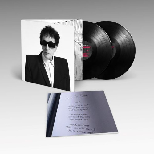 Peter Perrett The Cleansing 2LP 2