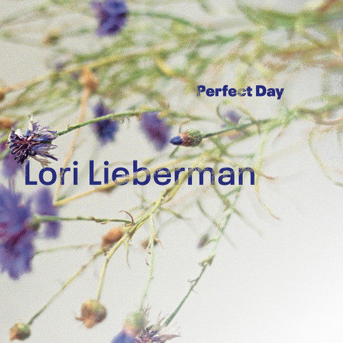 Lori Lieberman Perfect Day Hand-Numbered Limited Edition One-Step 45rpm Import LP 1