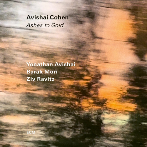 Avishai Cohen Ashes to Gold LP 1
