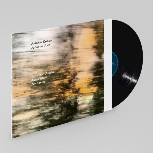 Avishai Cohen Ashes to Gold LP 2
