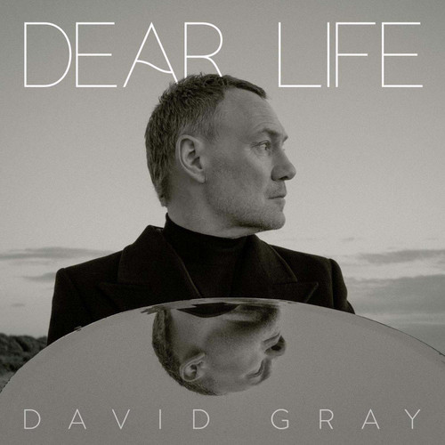 David Gray Dear Life 2LP (Seaweed Green Vinyl) 2