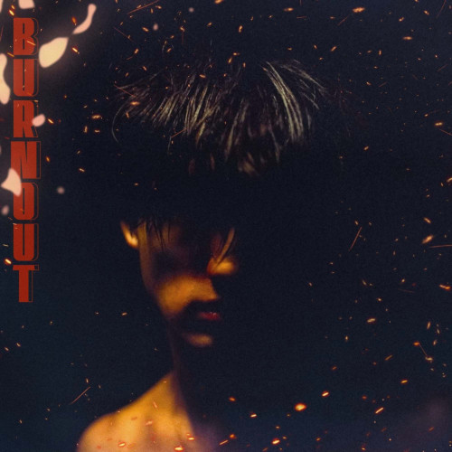 BoyWithUke Burnout LP (Opaque Burgundy with Black Marble Vinyl) 1