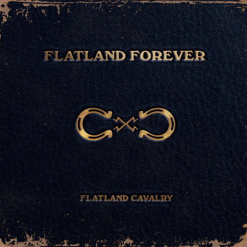 Flatland Cavalry Flatland Forever 2LP (Gold Vinyl) 1