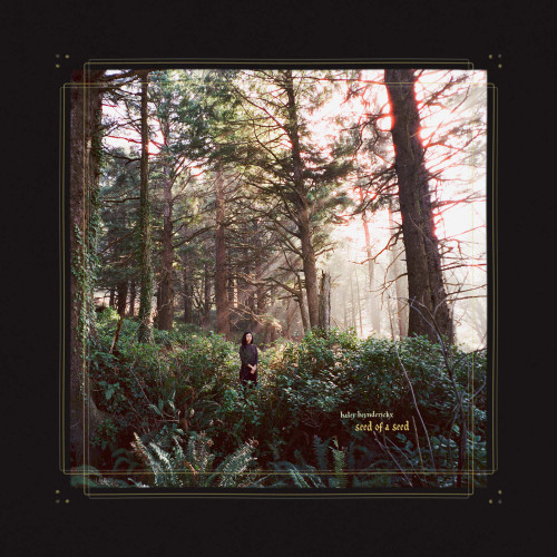 Haley Heynderickx Seed of a Seed LP 1