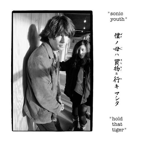 Sonic Youth Hold That Tiger 2LP 1