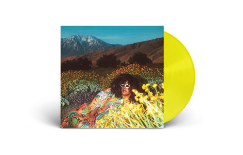 Brittany Howard What Now LP (Translucent Lemonade Vinyl) 2