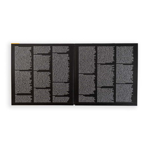 Madvillain LP 2枚組DOOM&MADLIB Madvillain (MF Doom & Madlib) Madvillainy (Audiophile Edition