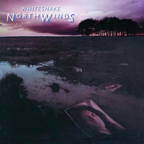 David Coverdale (Whitesnake) NorthWinds LP (Black Ice Vinyl)