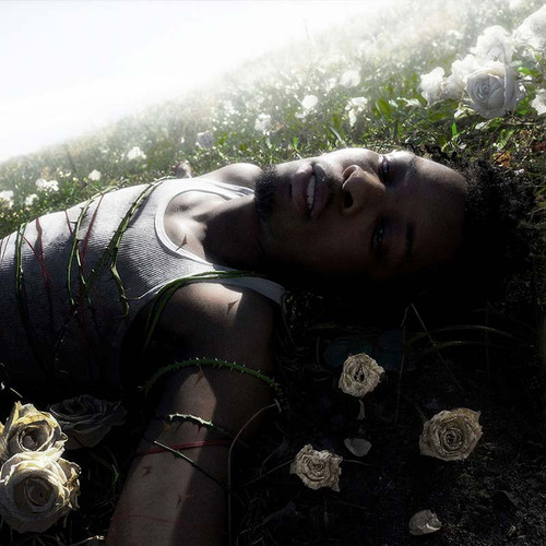 d4vd WITHERED LP (Pure Cloudy White Vinyl) 1