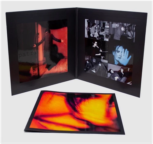 Patricia Barber Modern Cool 180g VR900-D2 2LP 4