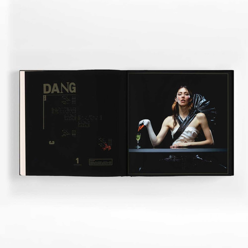Caroline Polachek Desire, I Want to Turn Into You: Everasking Edition 2LP & Book (Translucent Milky Clear Vinyl) 5