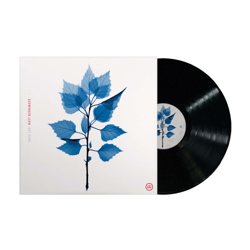 Matt Berninger Get Sunk LP 2