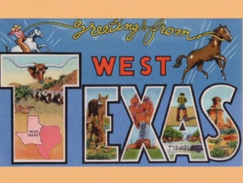 Mike Flanigin West Texas Blues LP (Picture Disc) 2