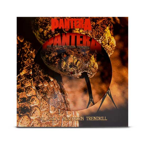 Pantera The Complete Studio Albums 1990-2000 Indie Exclusive 5LP Box Set (Picture Disc) 6