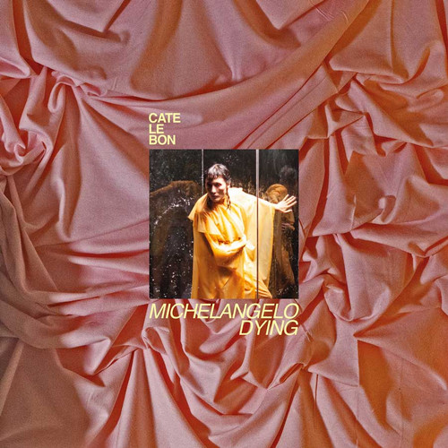 Cate Le Bon Michelangelo Dying Indie Exclusive LP (Bone White Vinyl) 2
