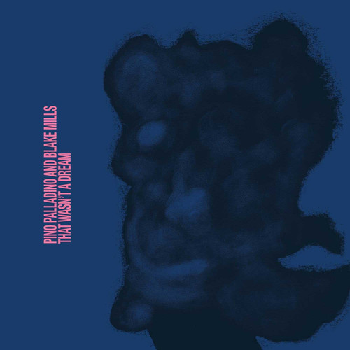 Pino Palladino & Blake Mills That Wasn't a Dream LP 1