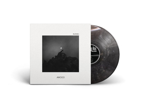 Ruen Brothers Awooo LP (Frosted Shadow Vinyl) 2