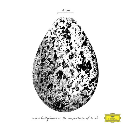 Snorri Hallgrimsson The Importance of Birds 180g 12" Vinyl EP 1
