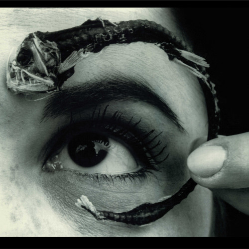 Mr. Bungle Disco Volante 2LP (Translucent Light Blue Vinyl) 2