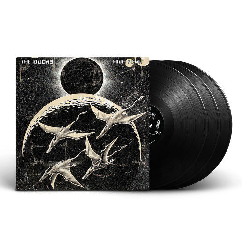 The Ducks (Neil Young) High Flyin' 3LP 2