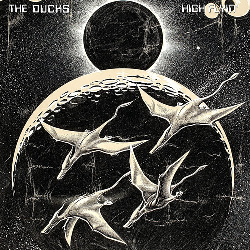The Ducks (Neil Young) High Flyin' 3LP 1