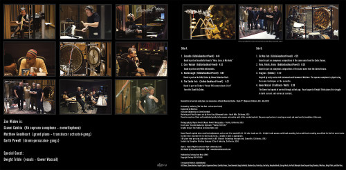 Zen Widow Zen Widow IV - (from one dark age to another) 180g LP Scratch & Dent 3