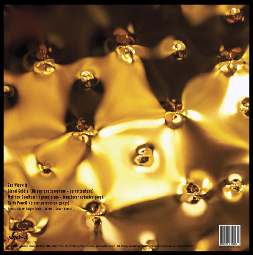 Zen Widow Zen Widow IV - (from one dark age to another) 180g LP Scratch & Dent 2