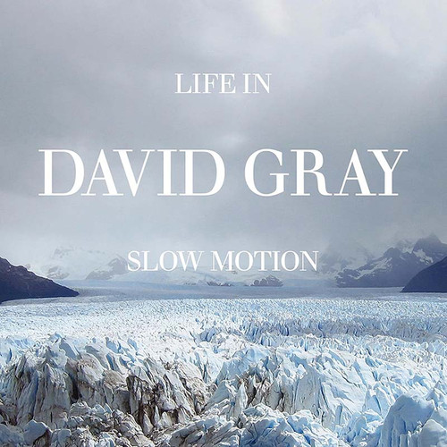 David Gray Life in Slow Motion (20th Anniversary Edition) LP 1