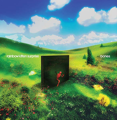 Rainbow Kitten Surprise bones Indie Exclusive LP (Banana Color Vinyl) 1