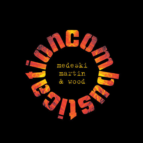 【激レア】MEDESKI MARTIN&WOOD 2LP Orig Medeski, Martin & Wood Combustication 2LP