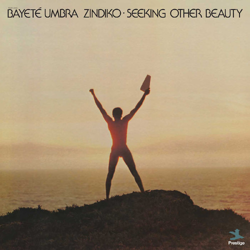 Bayete Umbra Zindiko Seeking Other Beauty LP (Plasma Vinyl) 2