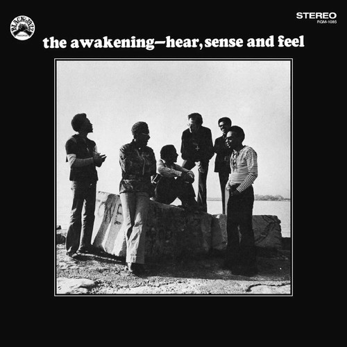 The Awakening Hear, Sense and Feel LP (Blue with Black Swirl Vinyl) 2